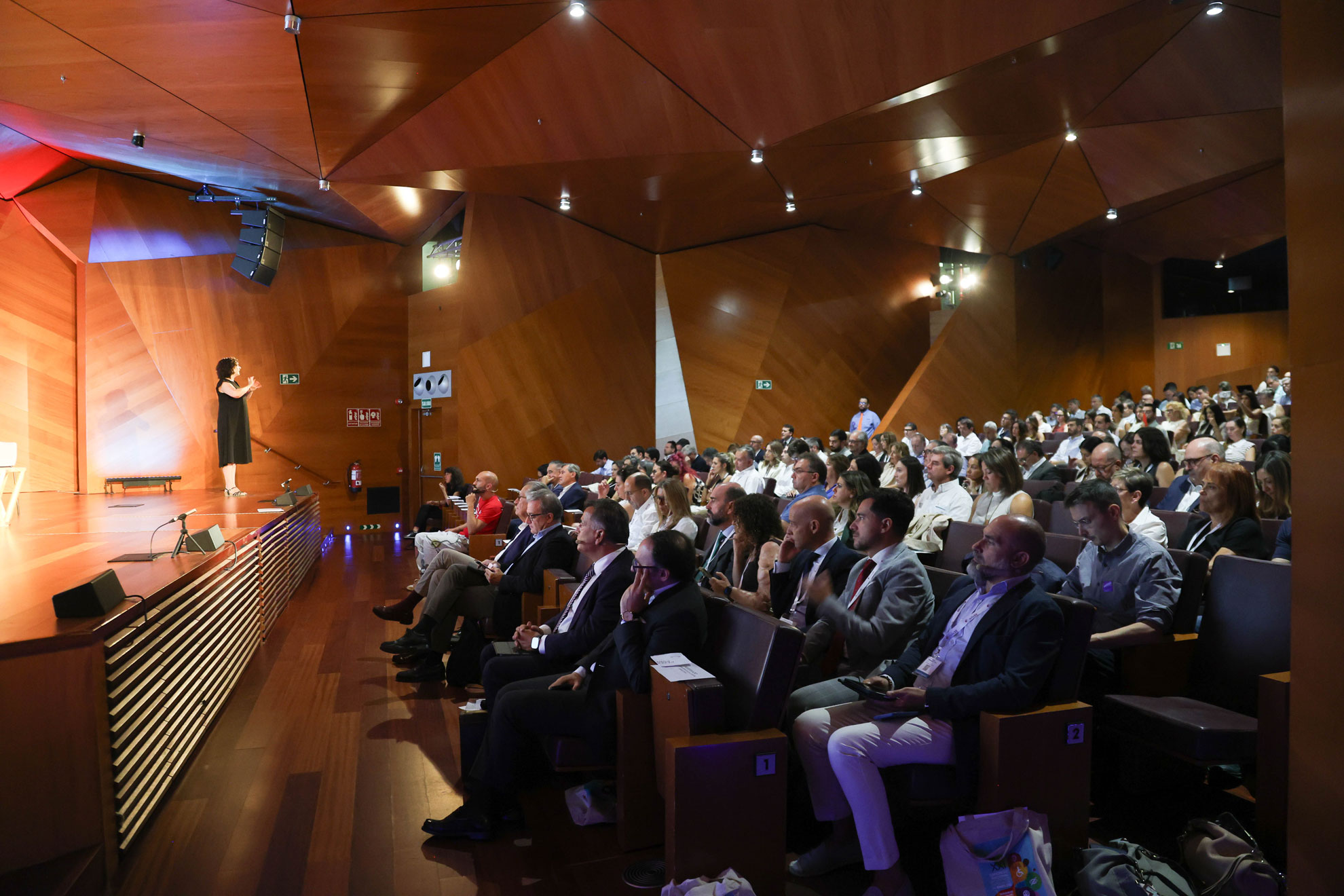 imatge horitzontal 1 accet congres CONACEE